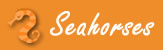 Seahorses