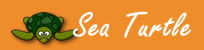Sea Turtles