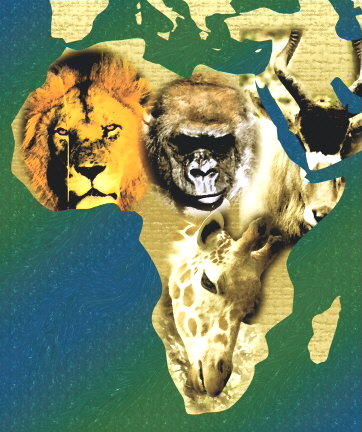 African Wildlife Graphics by Fox